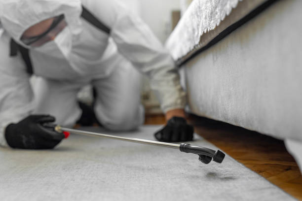 Professional Bed Bug Control technician working in Buena Vista, VA