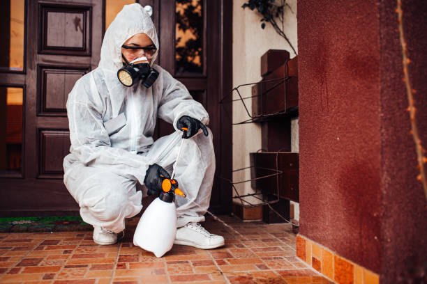Reliable Bed Bug Control contractor in Buena Vista, VA by Nex Pest Control